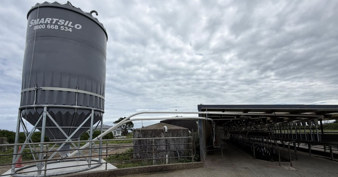 Dairy Feed System Installed By D&W Engineering In Stratford Taranaki NZ