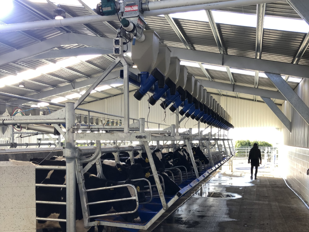 Rapid Exit Feed System Installed By D&W Engineering In Stratford Taranaki NZ