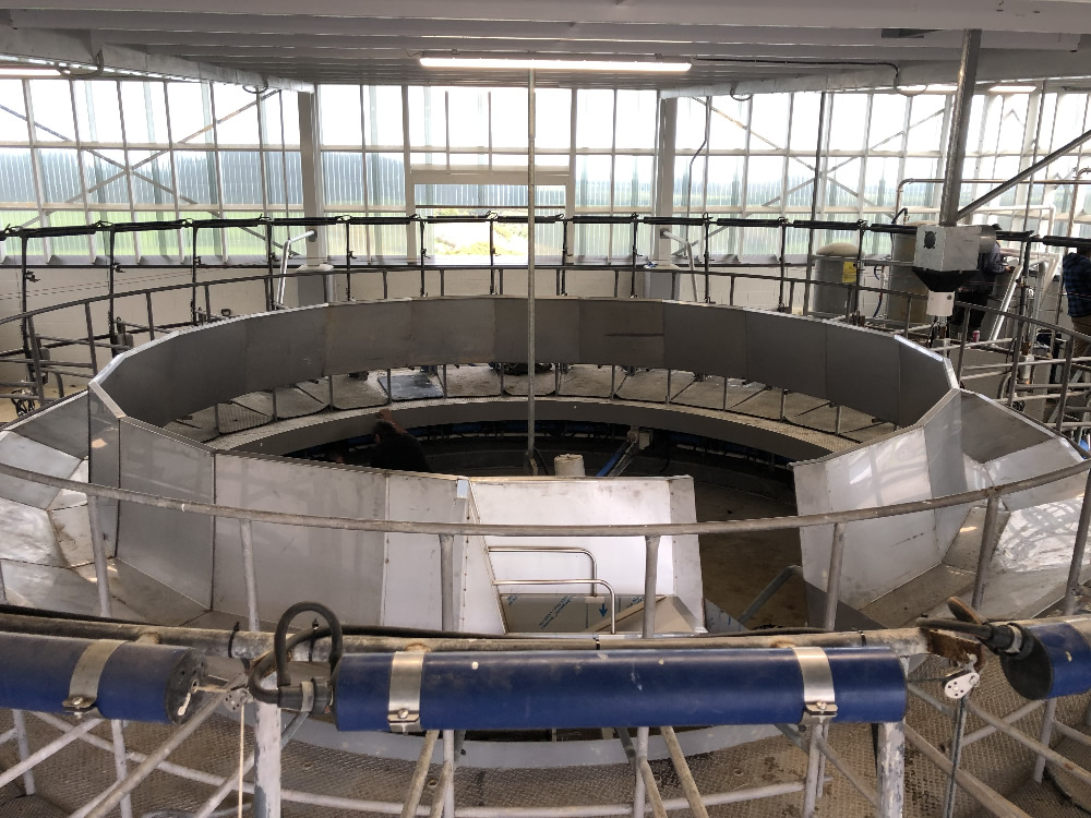 Rotary Feed System Installed By D&W Engineering In Stratford Taranaki NZ